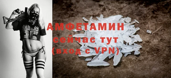 прущие грибы Абинск