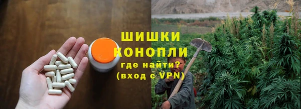 прущие грибы Абинск